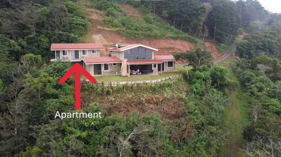 The apartment is above the garage tucked into the rainforest. Private side yard.