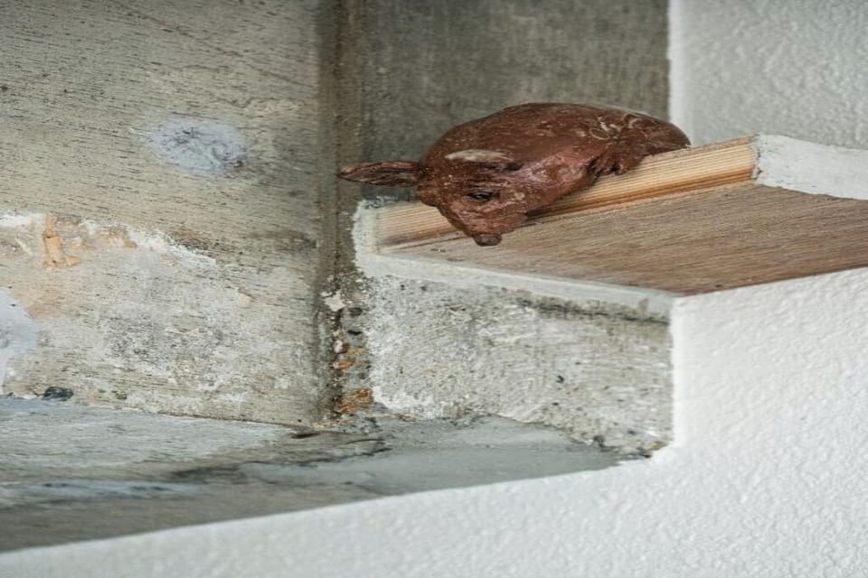 Interior detail