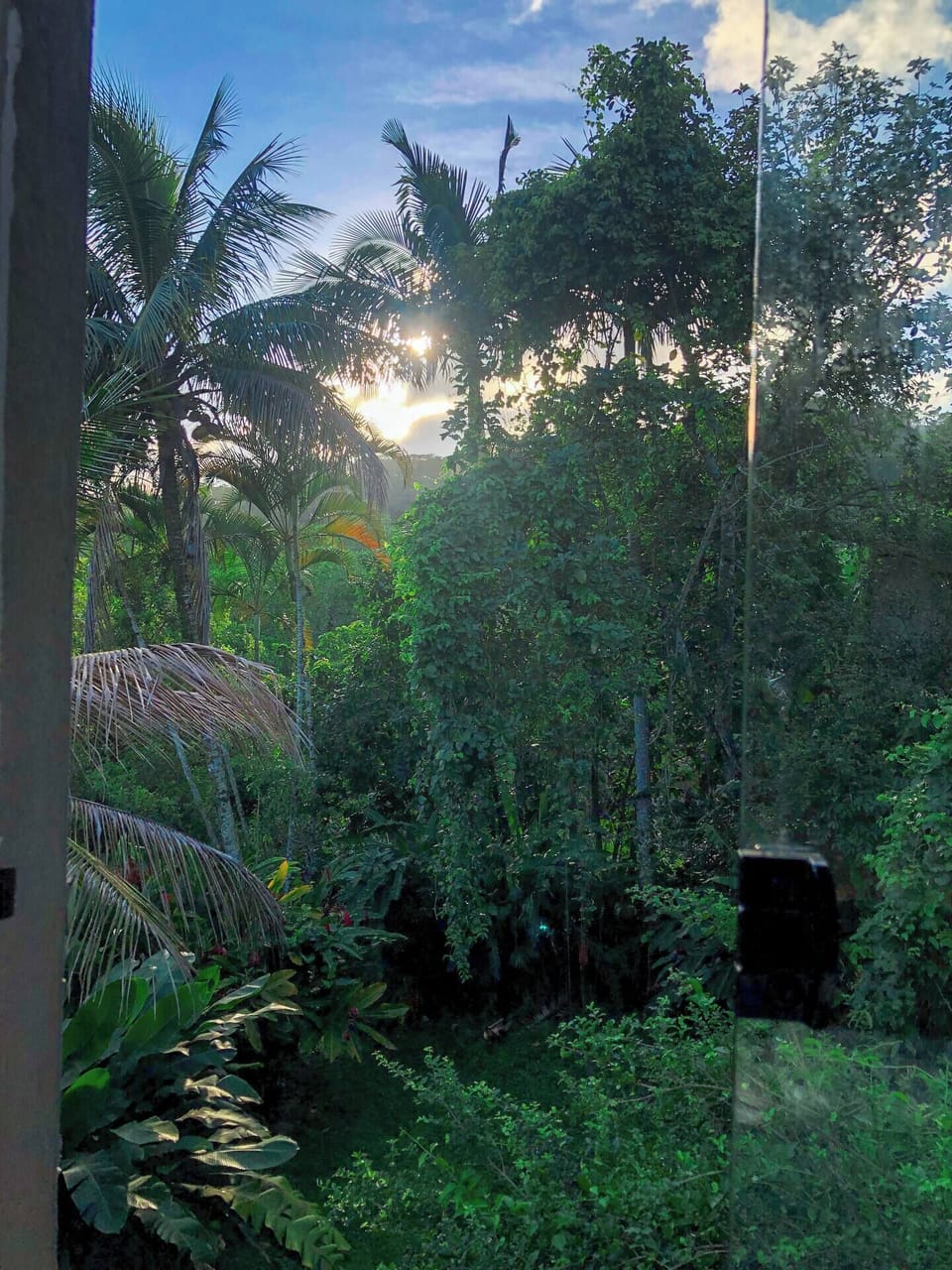 View from property
