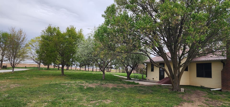 Outside view