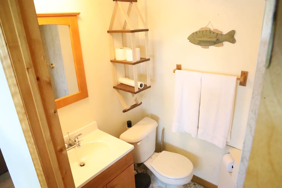 Lower level bathroom (Full Bath - shower only)