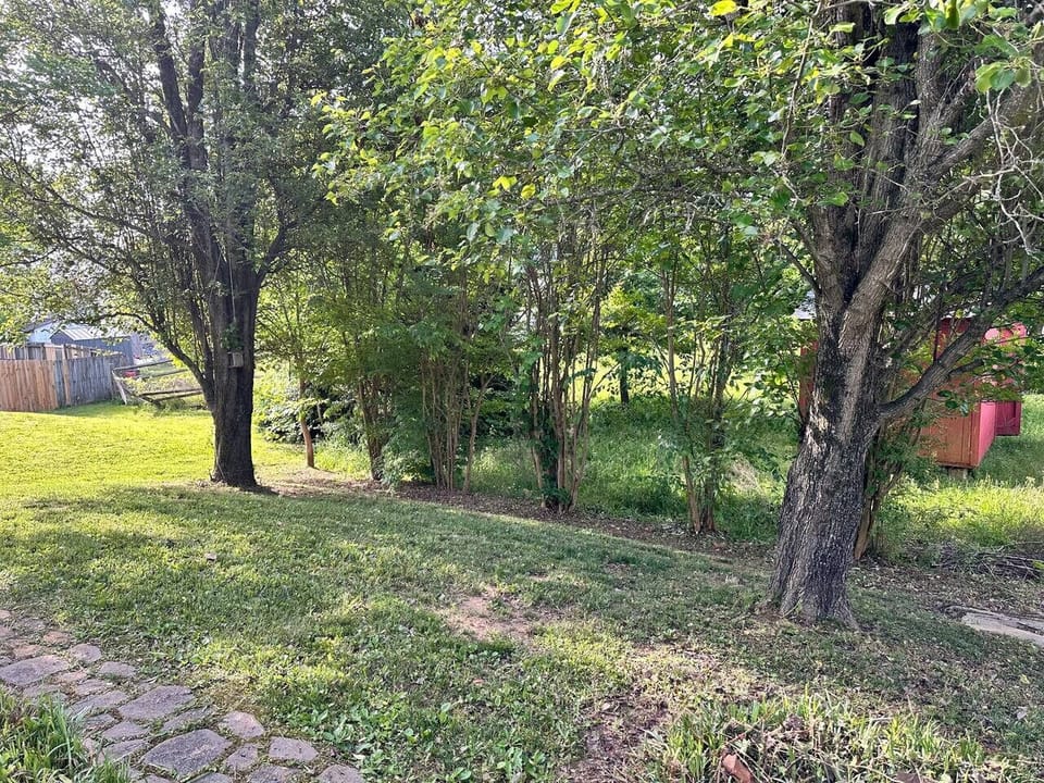 Large private backyard with mature shade trees — a peaceful spot for morning coffee or evening fresh air