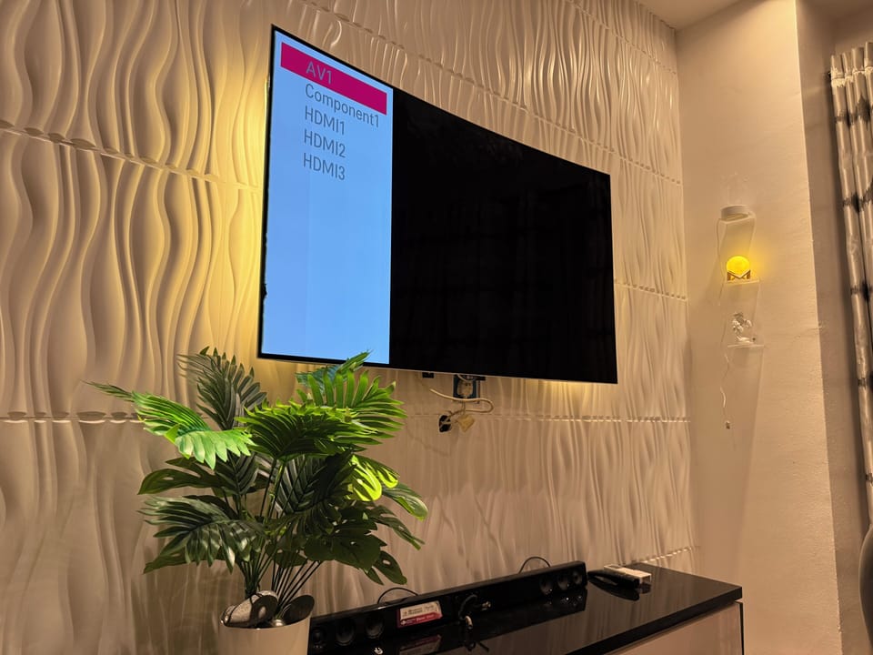 Television
