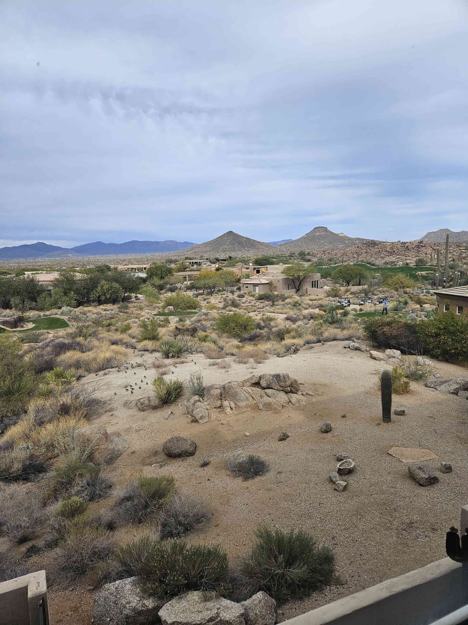 View from master bedroom