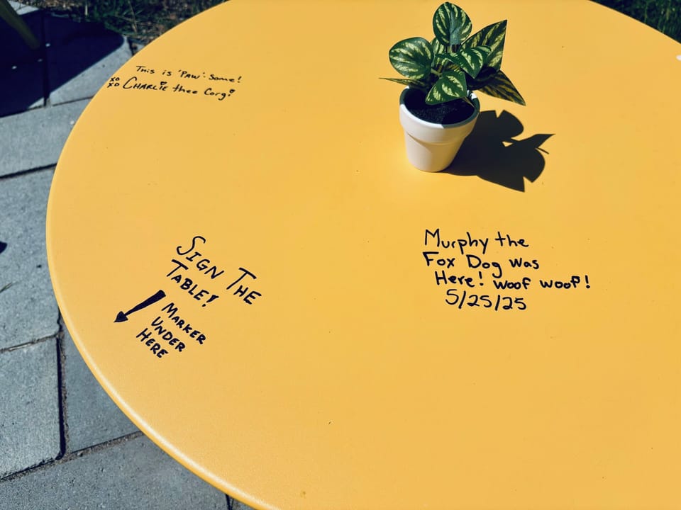 Outdoor Coffee Table