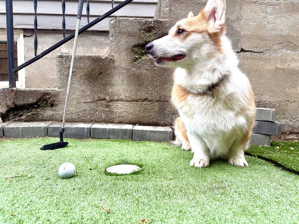 Putting Green