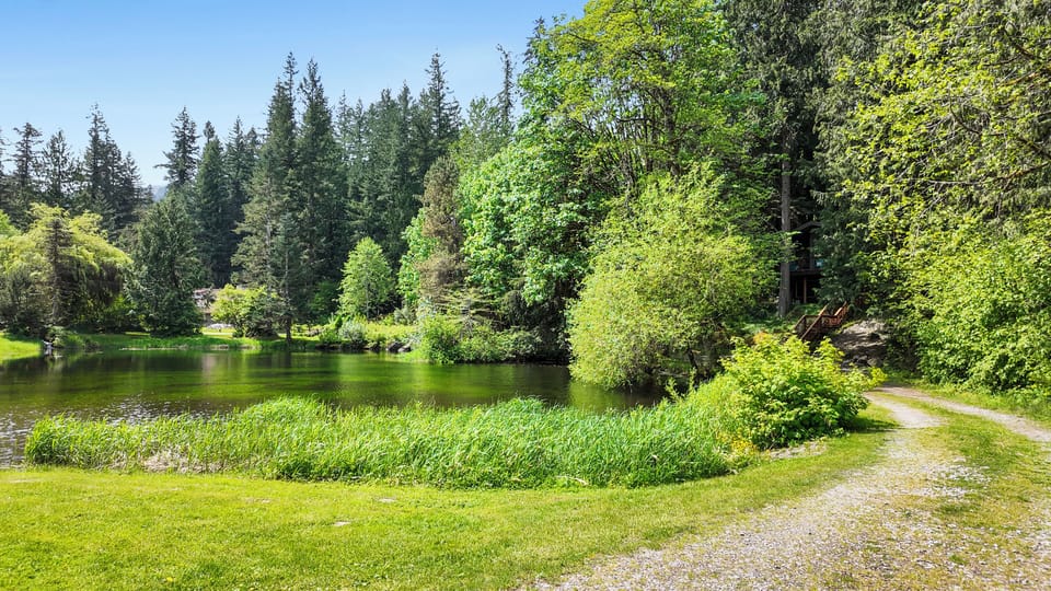 The top of our driveway that runs along the pond.