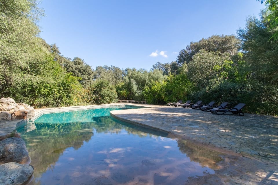 Holiday Home Swimming Pool