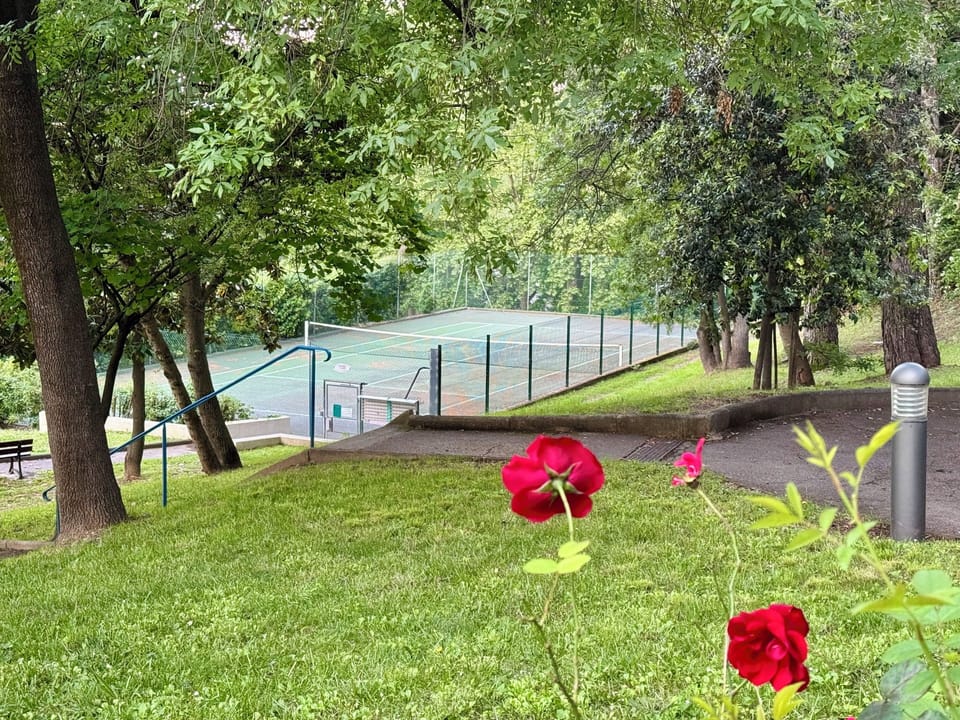 Sport court