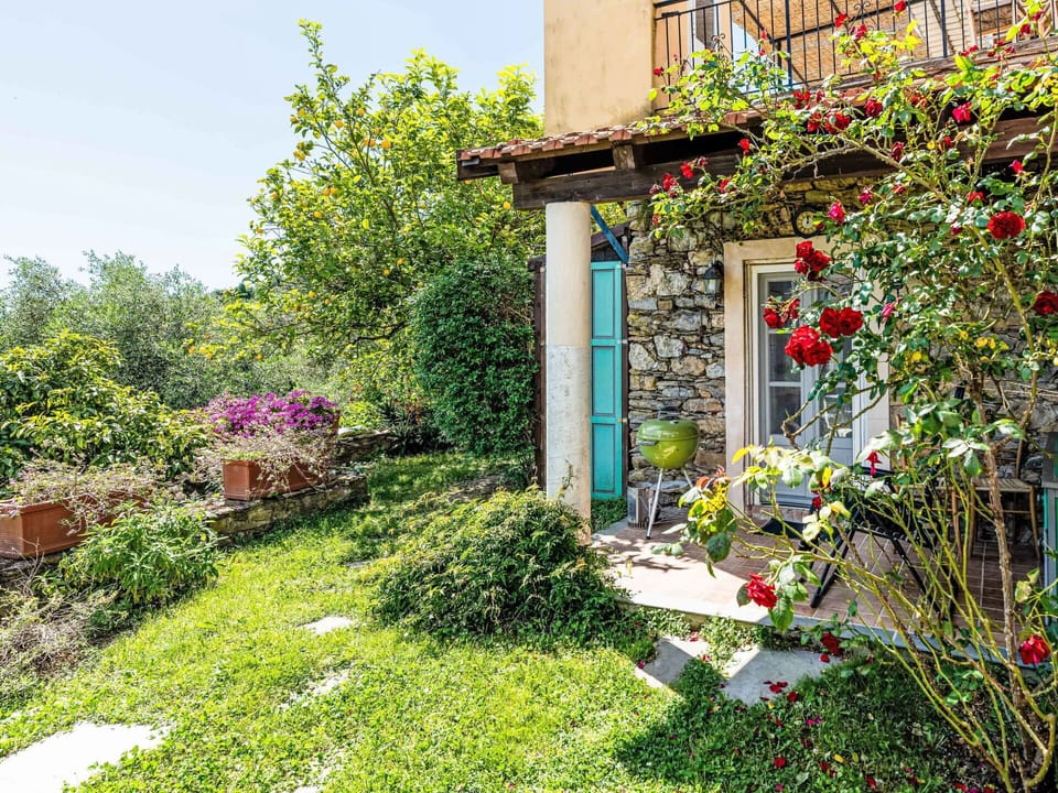Flower, Green, Shrub, Garden, House, Spring, Groundcover, Cottage, Landscaping