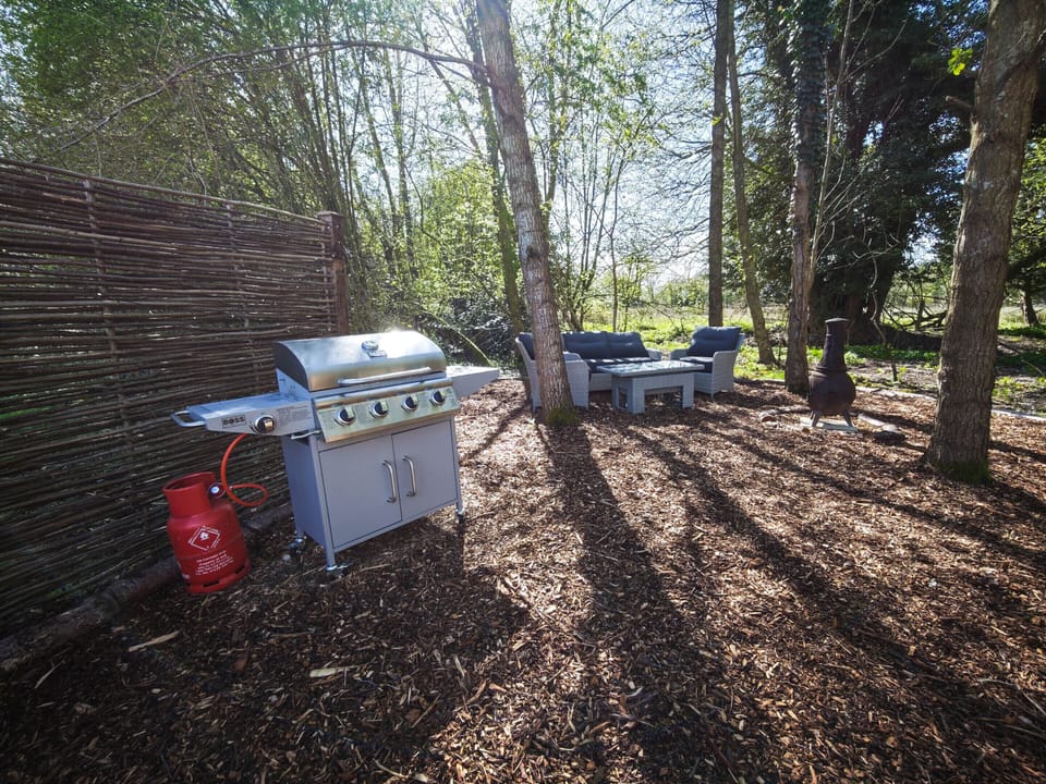 Back Garden
