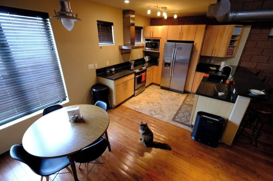 Cats live in home when owners are in town - 2nd Floor