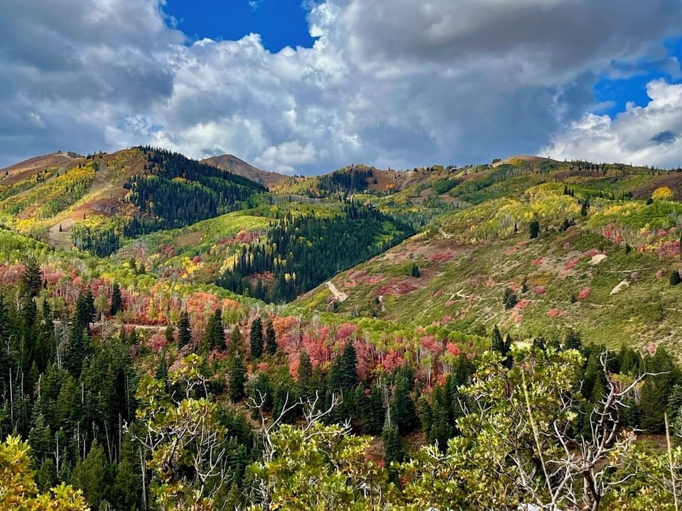 Autumn is a MAGICAL time for a visit!