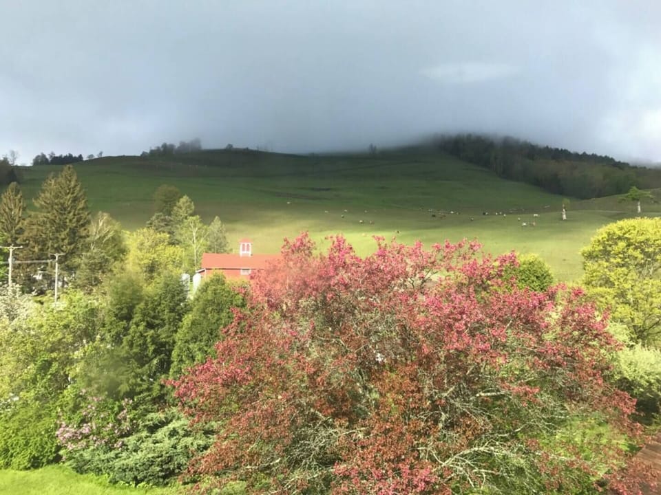 View from bathroom