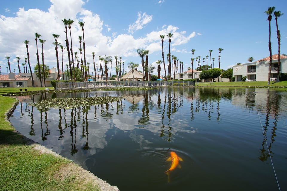Unwind by the serene lake with stunning views, showcasing lush greenery —a perfect escape for couples or solo travelers.