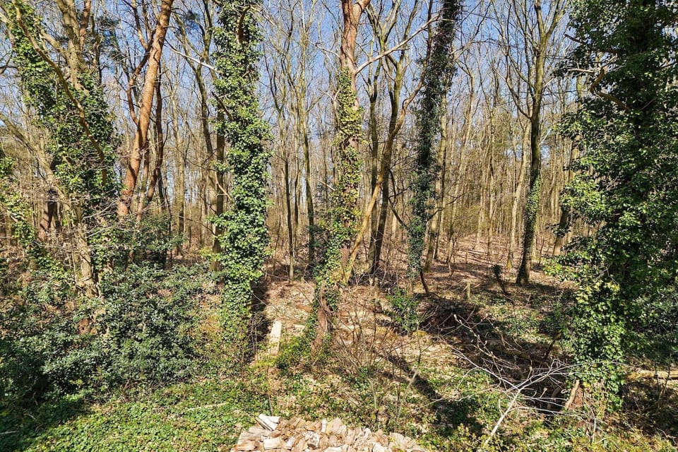 Immediate Surroundings [summer] (<1 km)