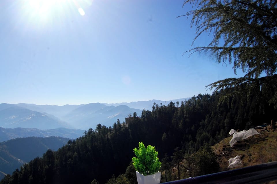 View from property