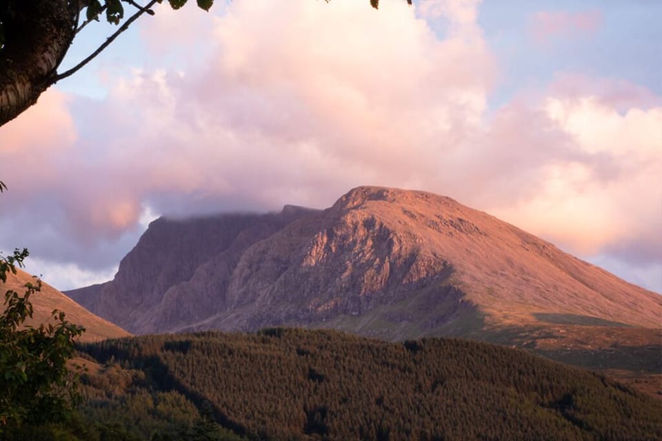 View from the garden