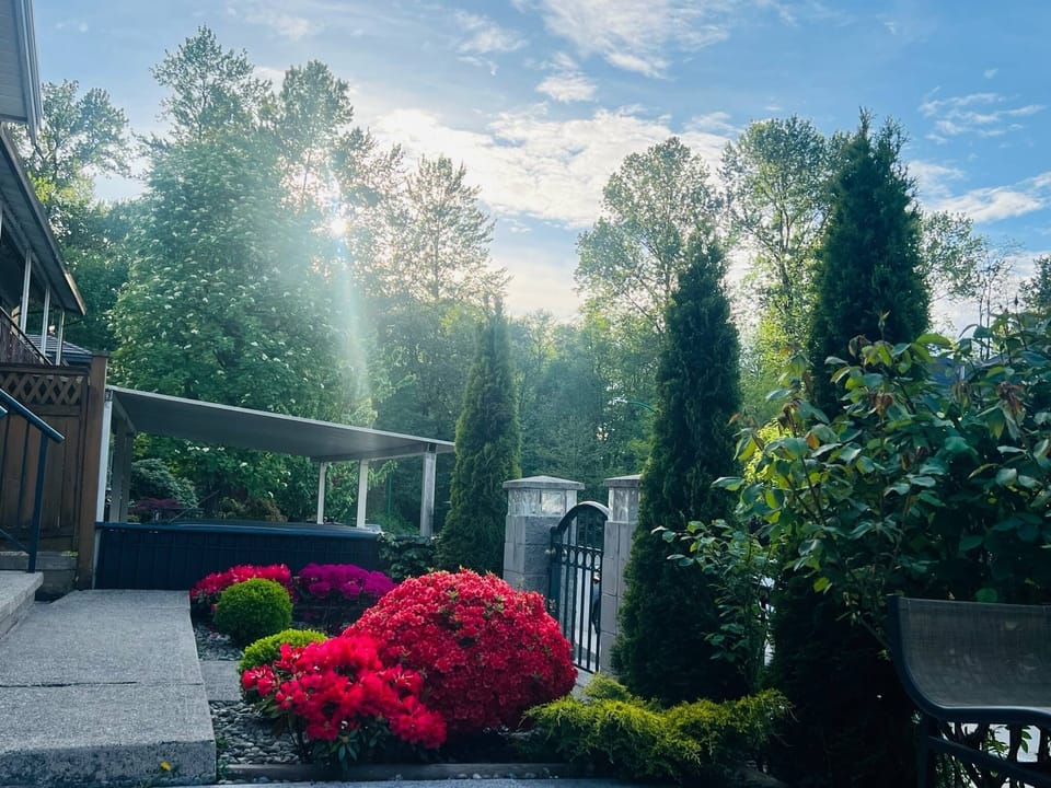 Outdoor patio/garden