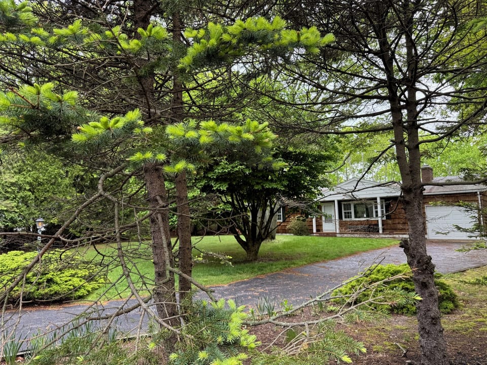 house in forest