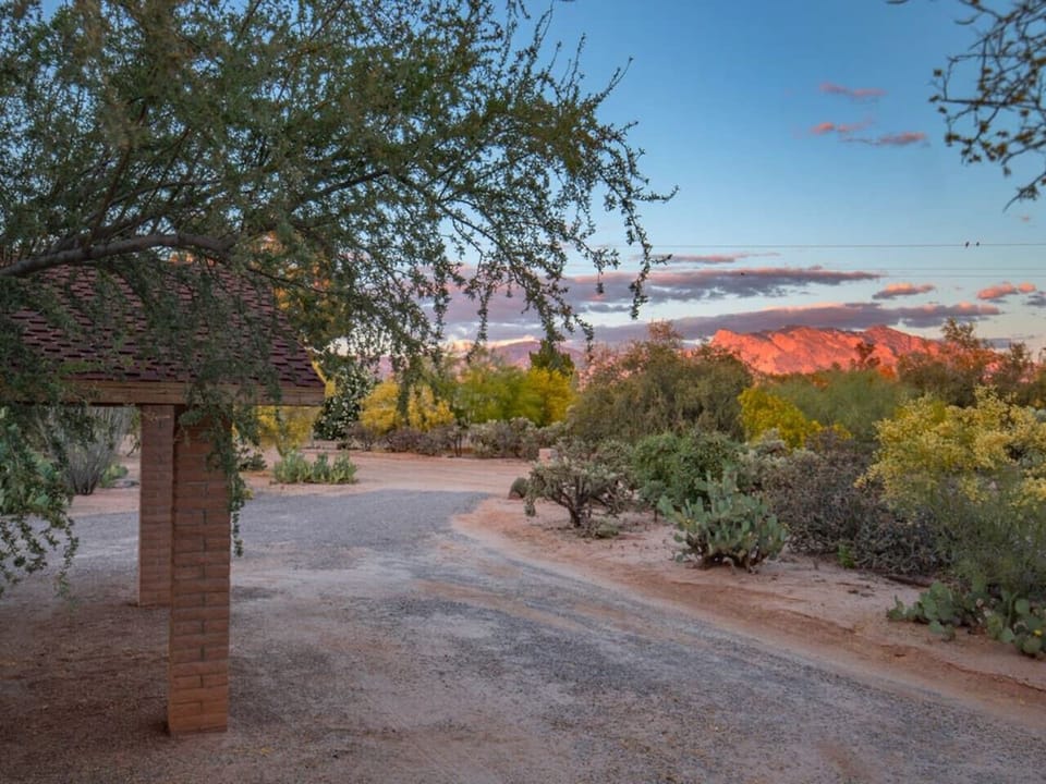 Santa Catalina Mountains in front of house