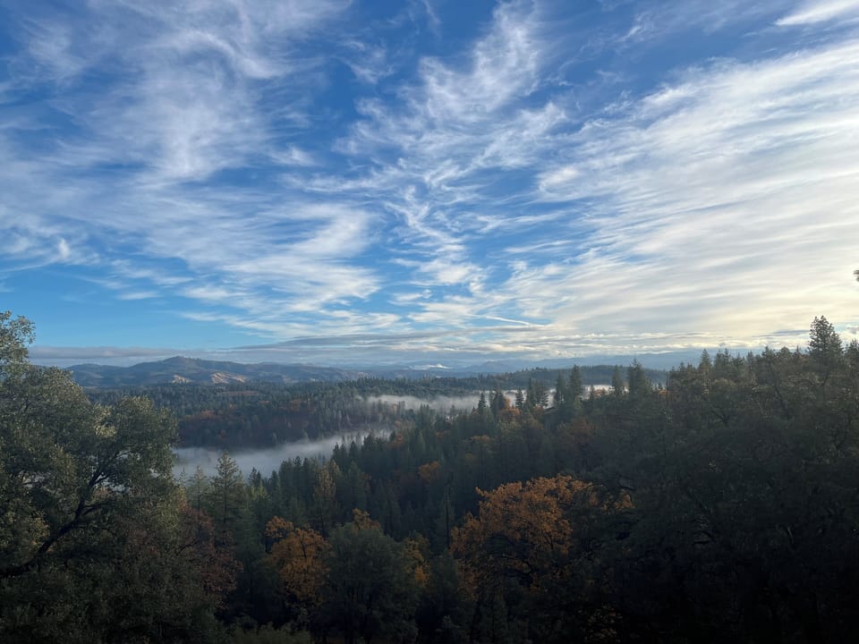 View from deck in the early morning hours