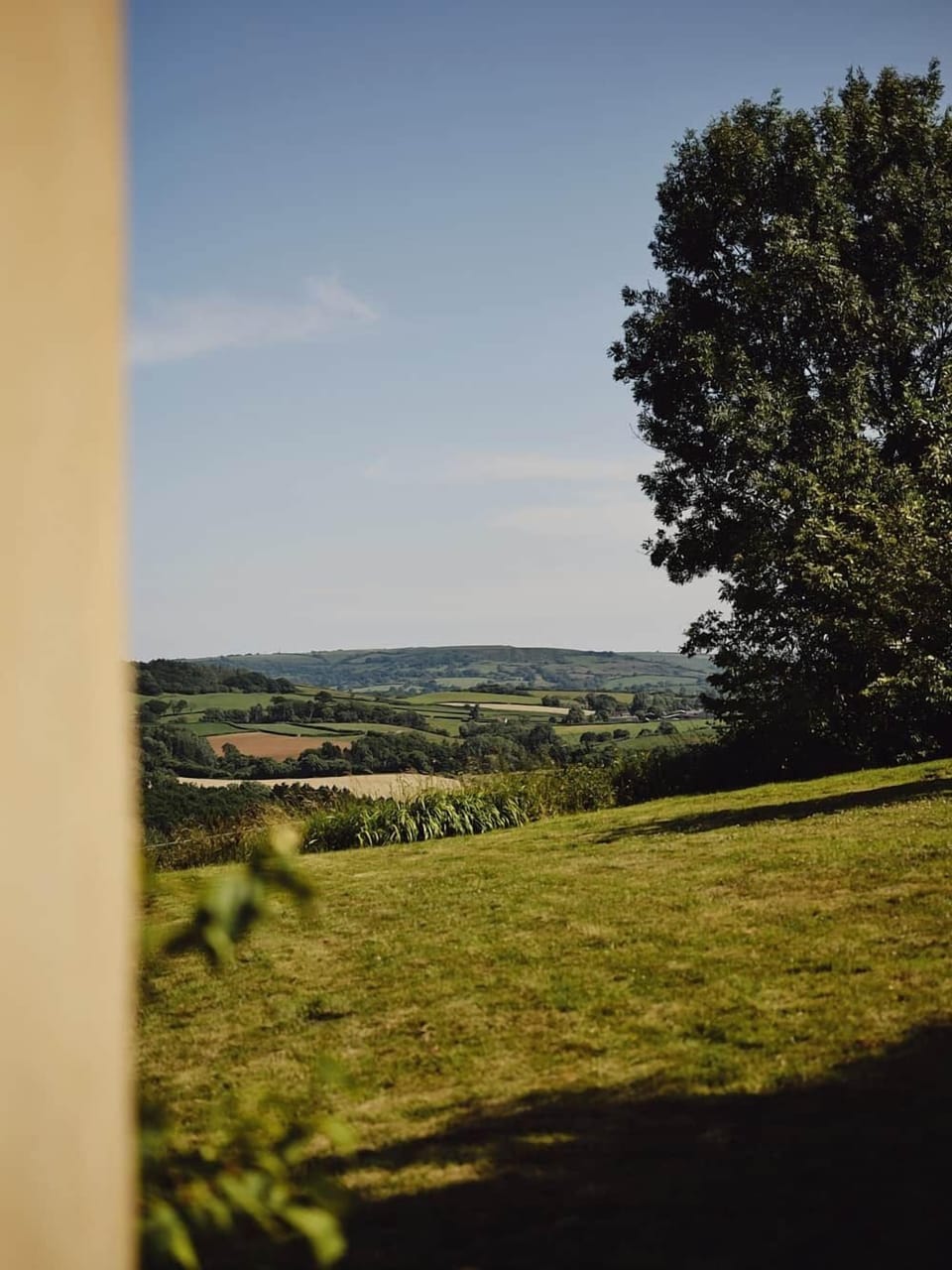 View of Garden from Living Room