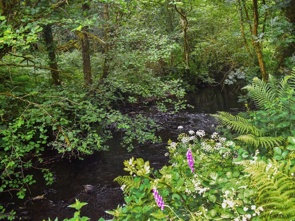 Outdoor | Townwood House, Tiverton