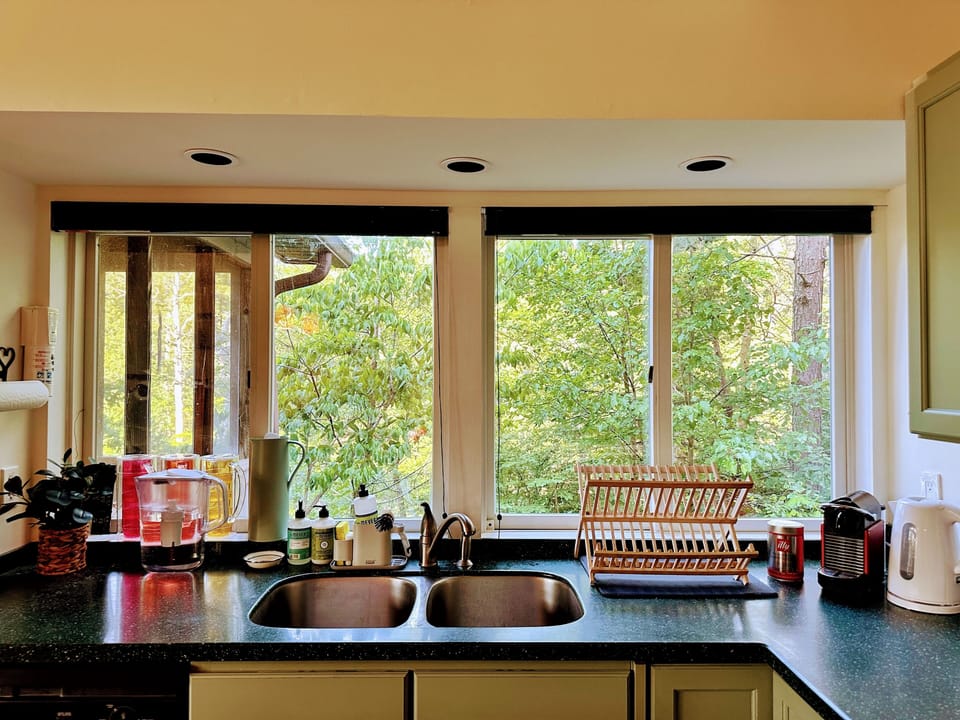Sunlight pours into this open kitchen, with the forest and lake views