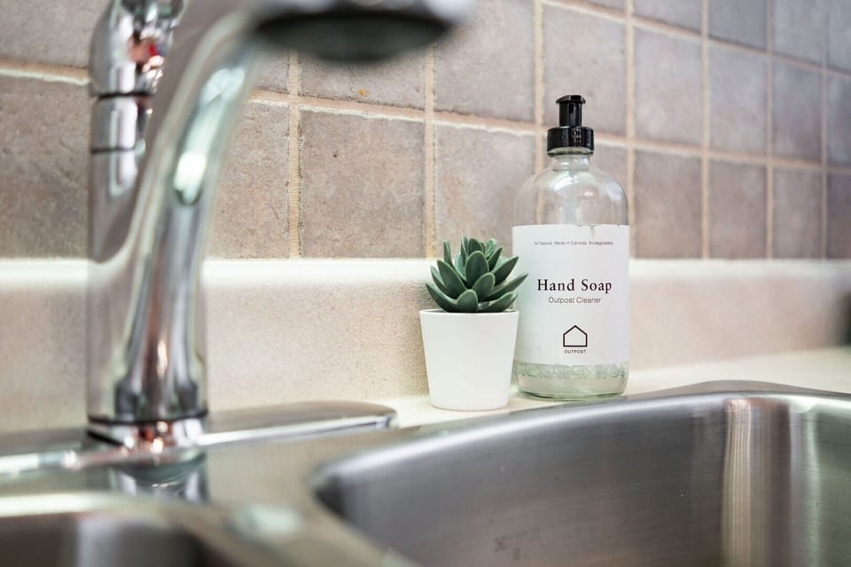 Complimentary hand and dish soap