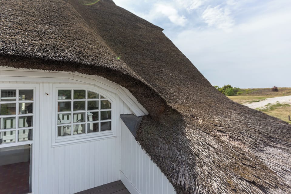 Thatched Roof of the House