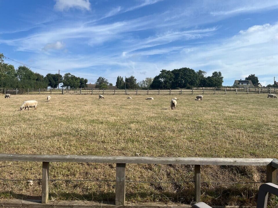 Viewing area