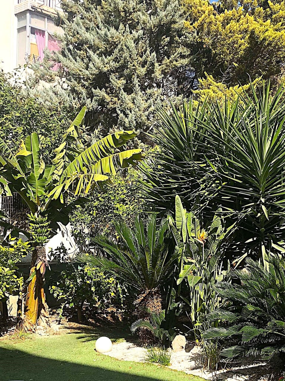 Garden area.