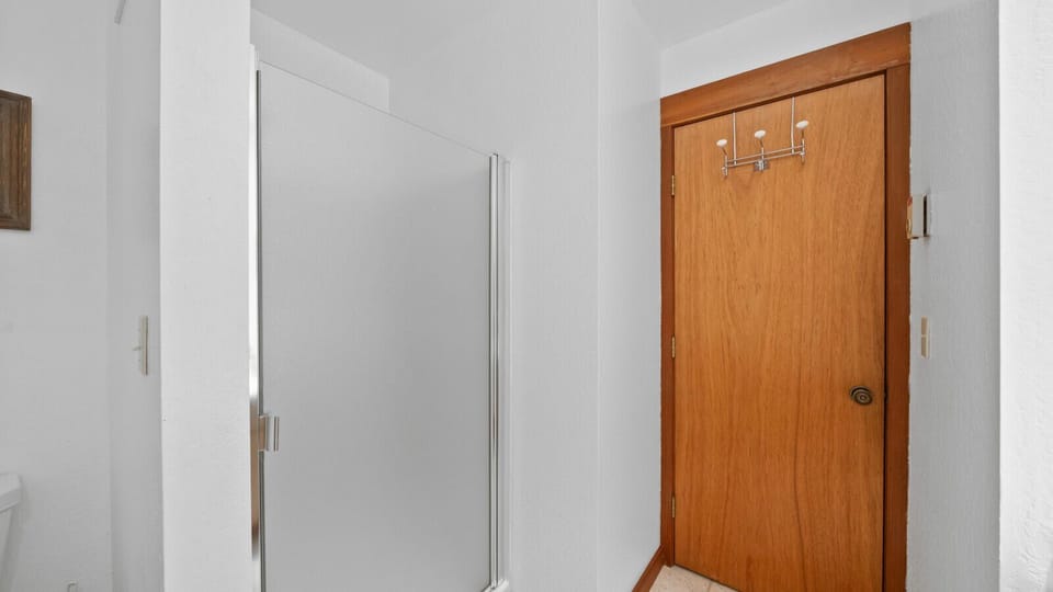 Master  bathroom shower