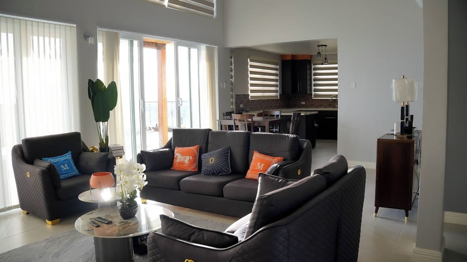 Living room sofa setting