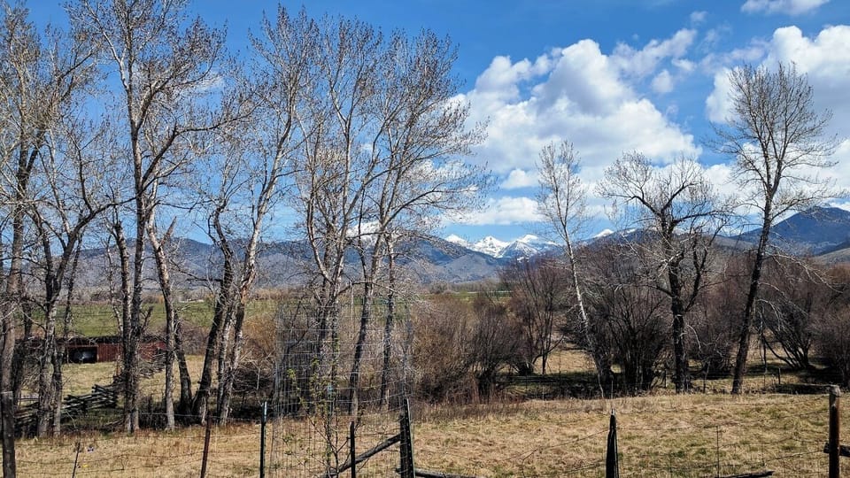 Tobacco Root Mountains and neighboring cattle ranch