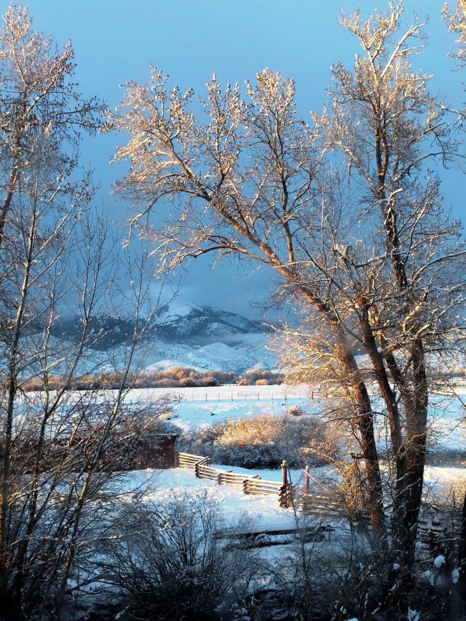 Christmas time in the mountains!