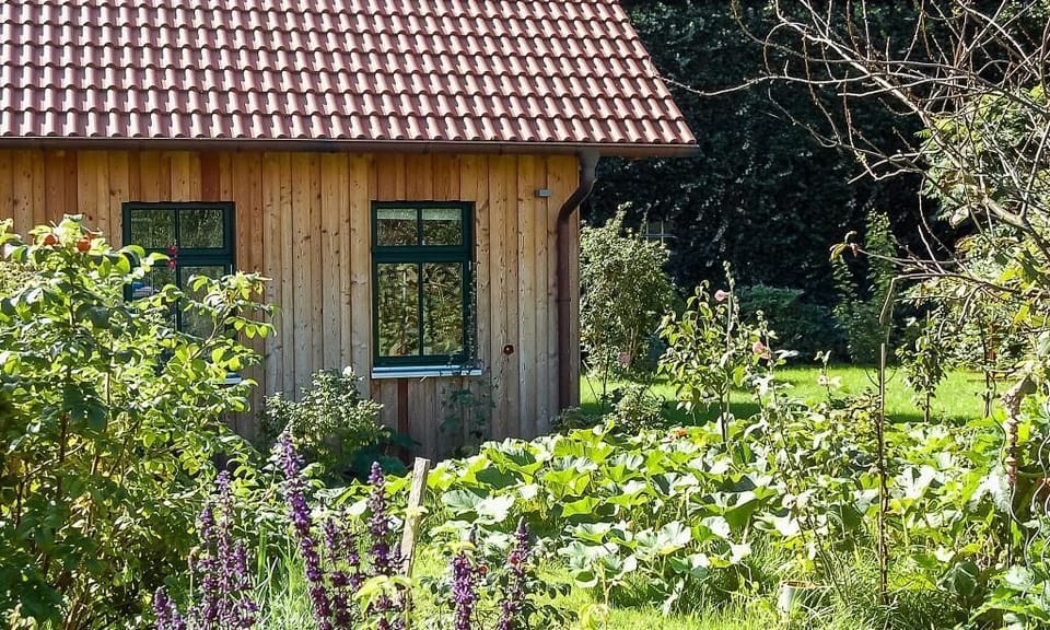 Exterior view of a wooden house with garden