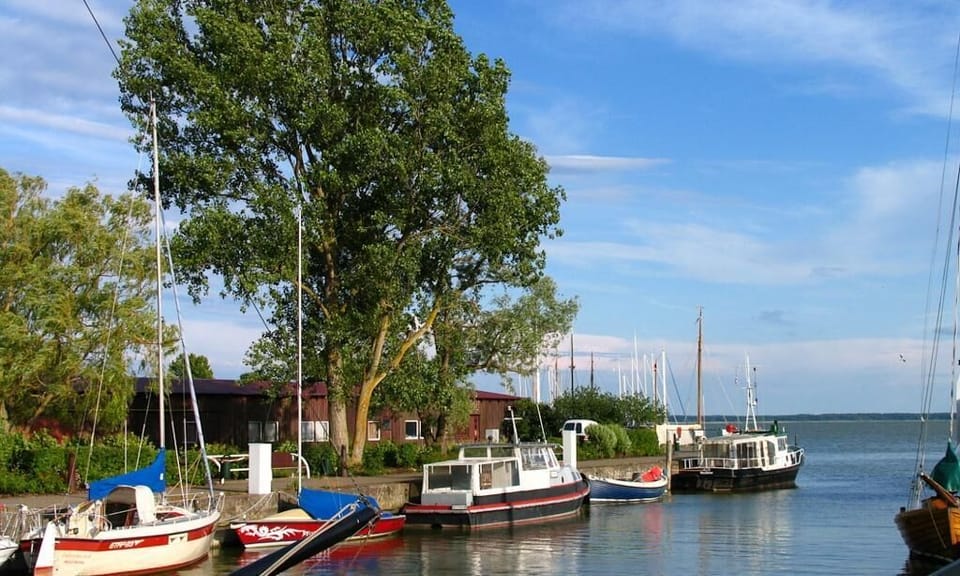 Harbor View with Boats and Green Tree