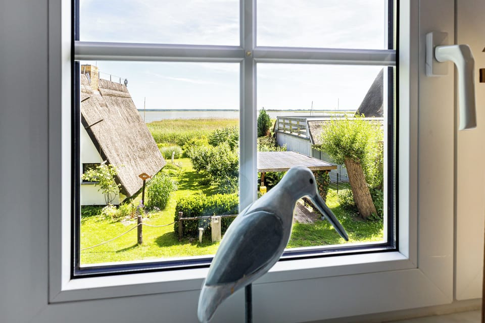 View from the Garden Window