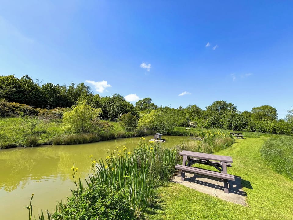 Wildlife pond with picnic bench in shared 4 acre natural grounds at Greetham Retreat | Lauras Loft - Greetham Retreat, Greetham, near Horncastle