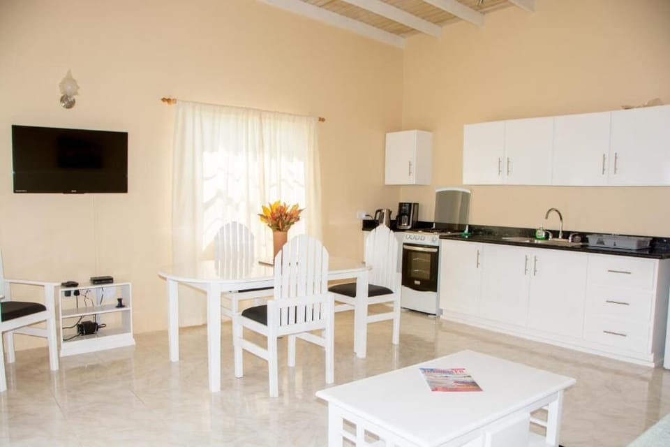 Fully equipped kitchen and dinning area