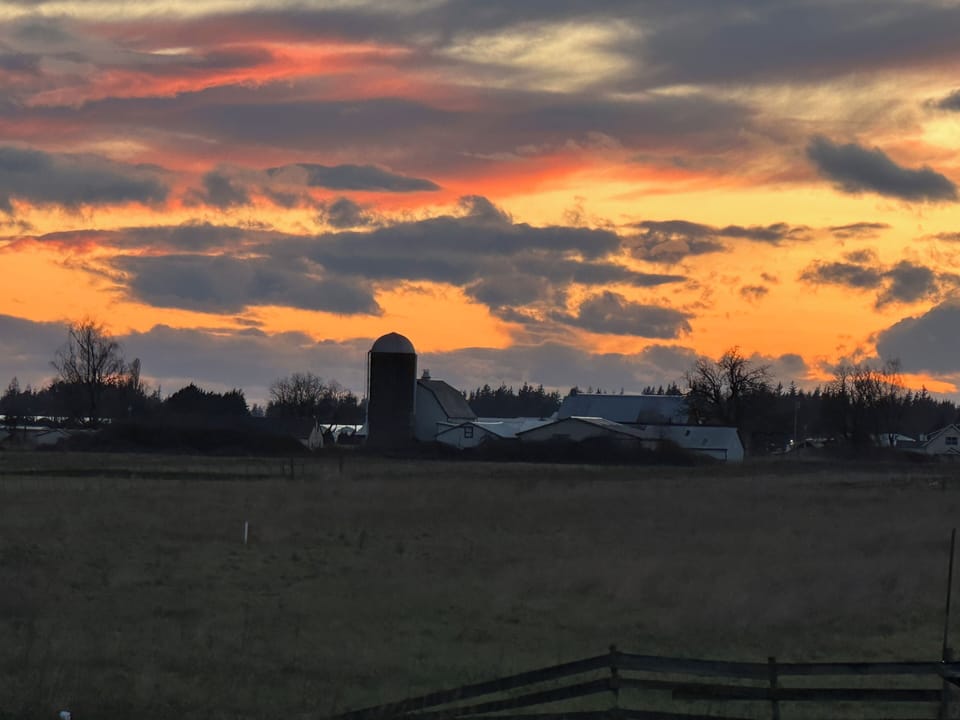 Farmland Sunset
