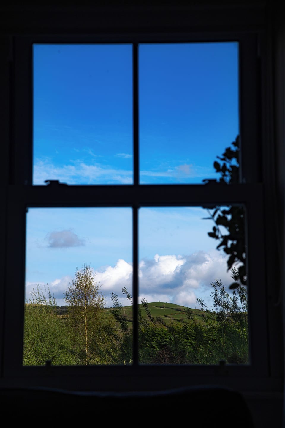 View from the living room