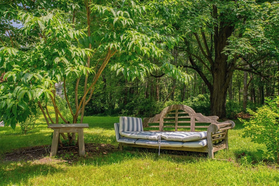 Relaxing park-like setting in the back yard.