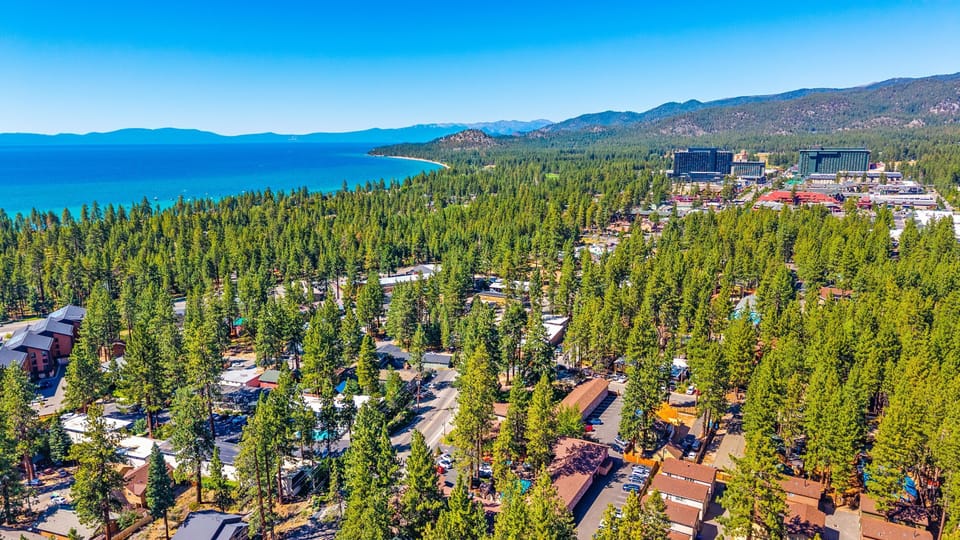 Scenic aerial view of forest and lake