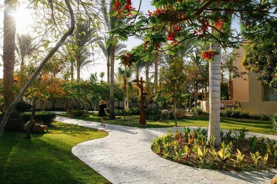 Garden view
