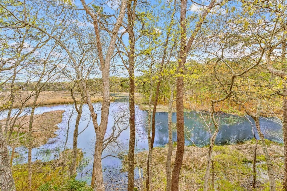 Beautiful serene views of the Santuit River right outside your window.