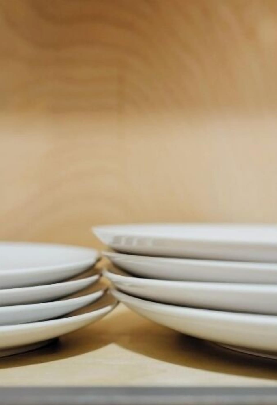 Simple, elegant plates that set the perfect stage for your meals