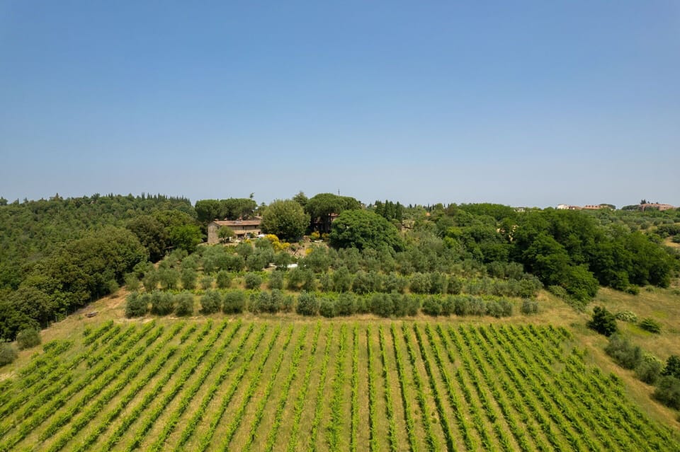 Building Exterior, Garden, Outdoor, Scenic View